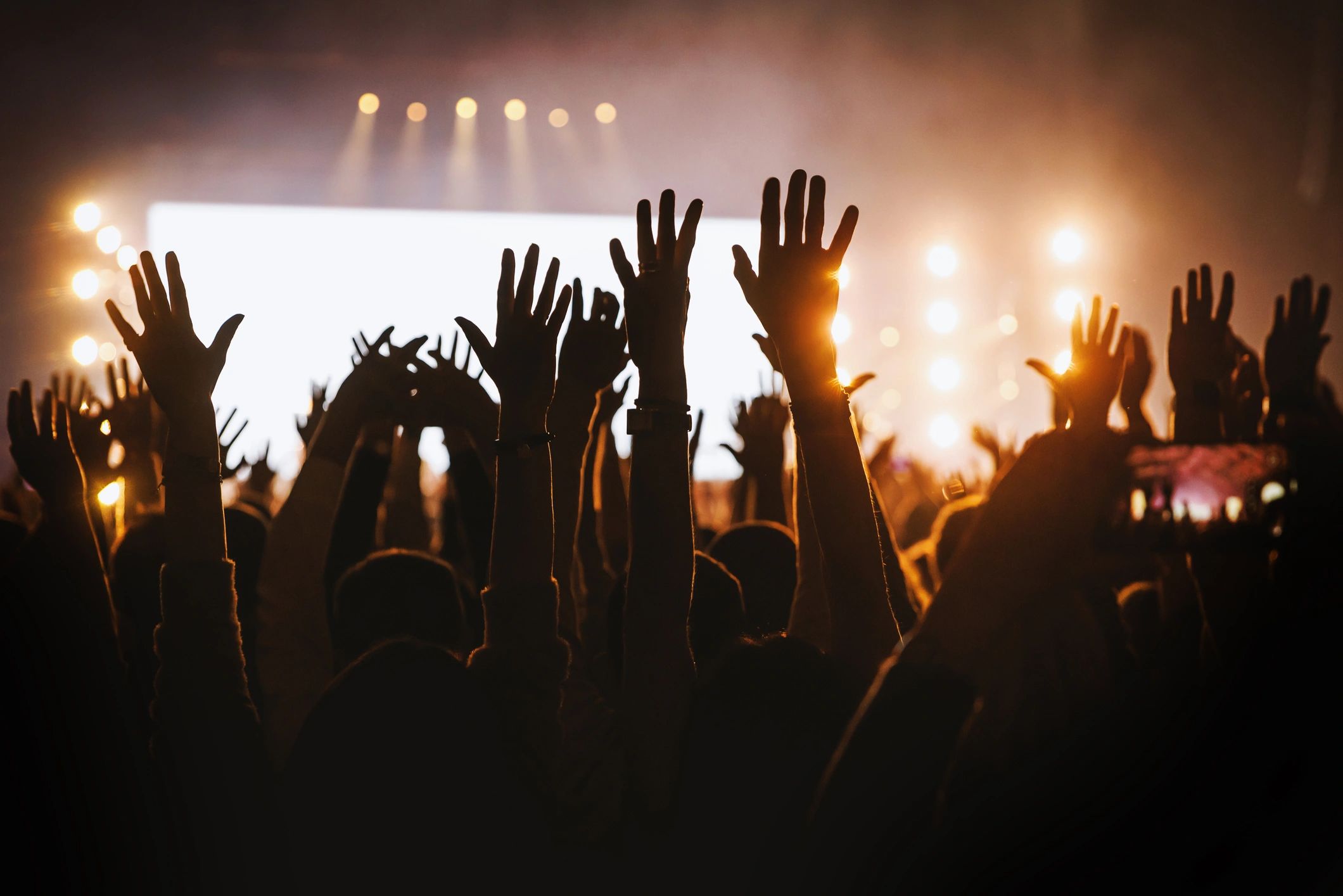 Audience cheering at a live music event